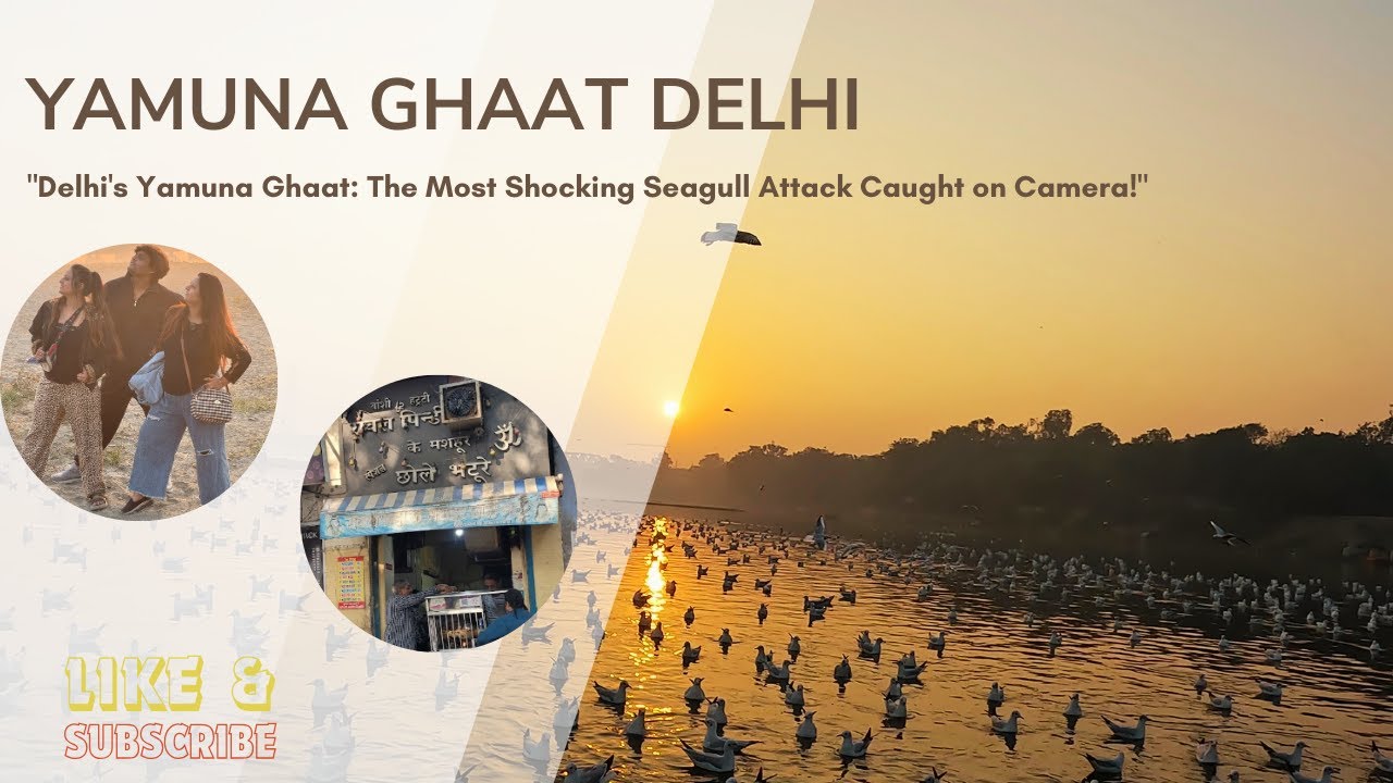 Exploring Yamuna Ghat, Seagulls, and Delhi’s Street Food Delights | Harsh reallity of Yamuna Ghat |