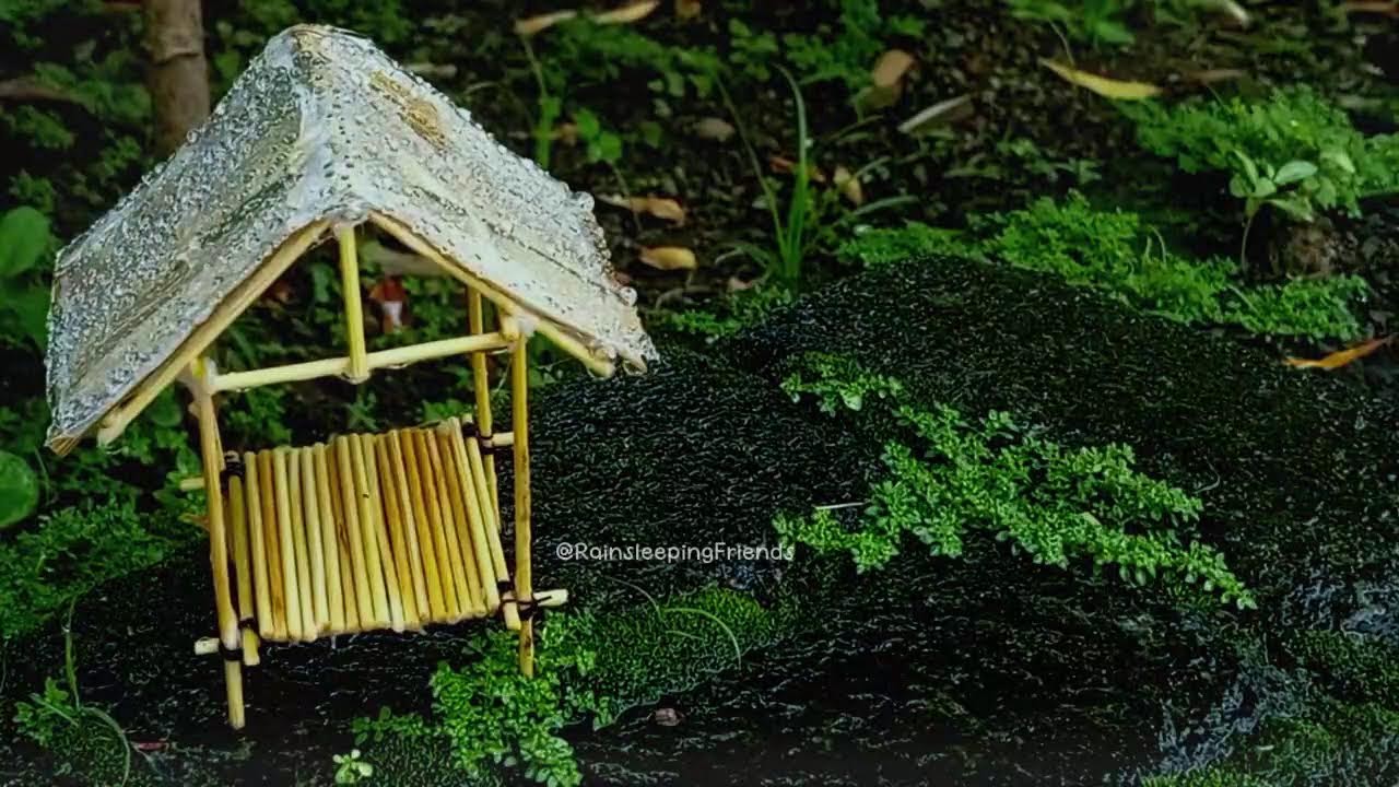 Soothing Rainfall in Nature | ASMR Rain Sounds for Anxiety & Insomnia