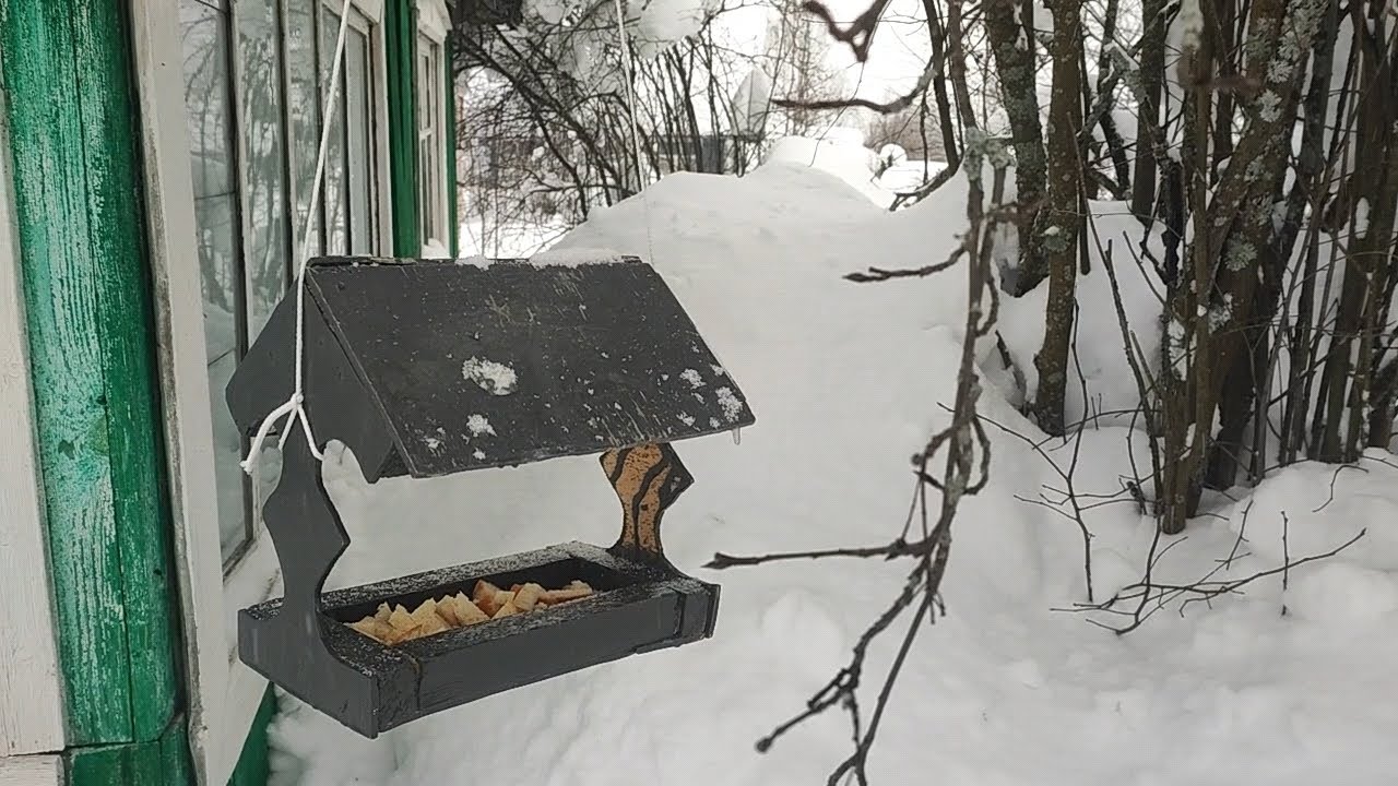 1 марта.Опять уборка.