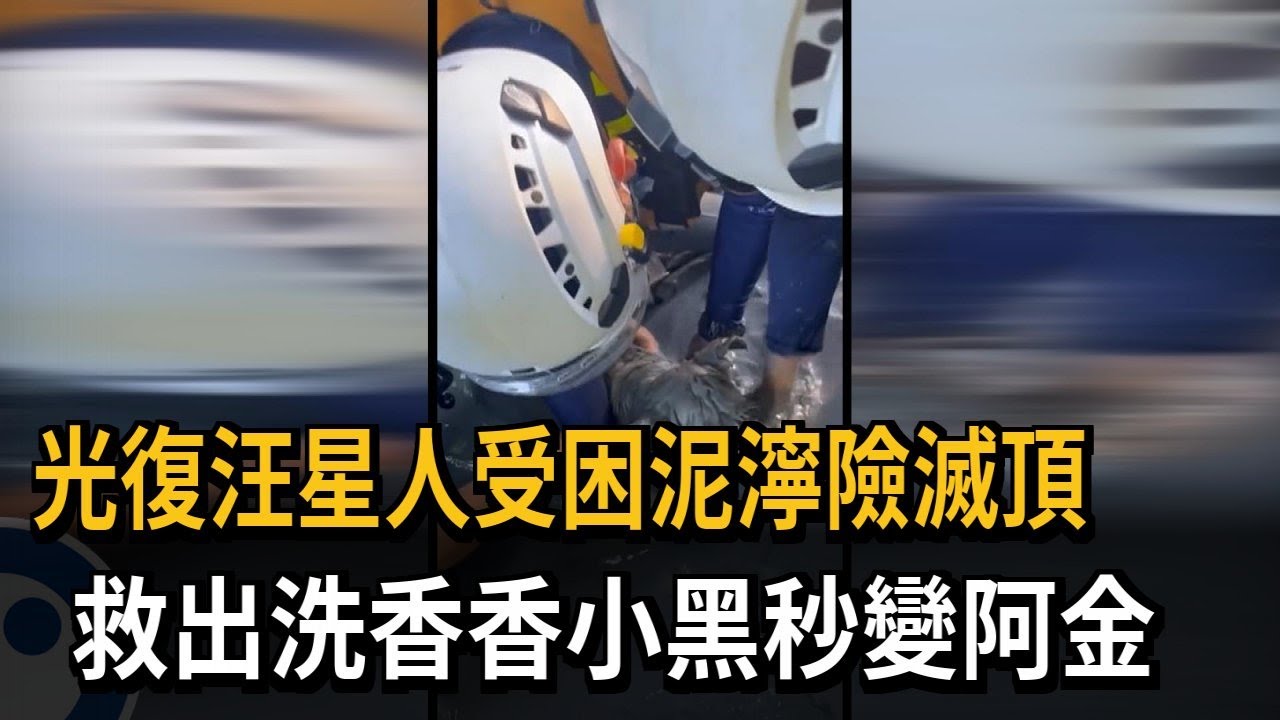 光復大水淹狗狗！搜救隊「徒手挖」救援成功脫困－民視新聞