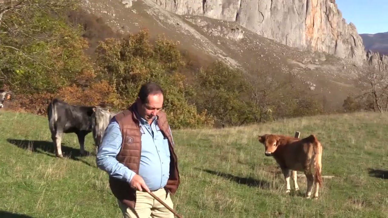 Ganaderos en su hábitat | Tudancas en Liébana | 15.12.2023