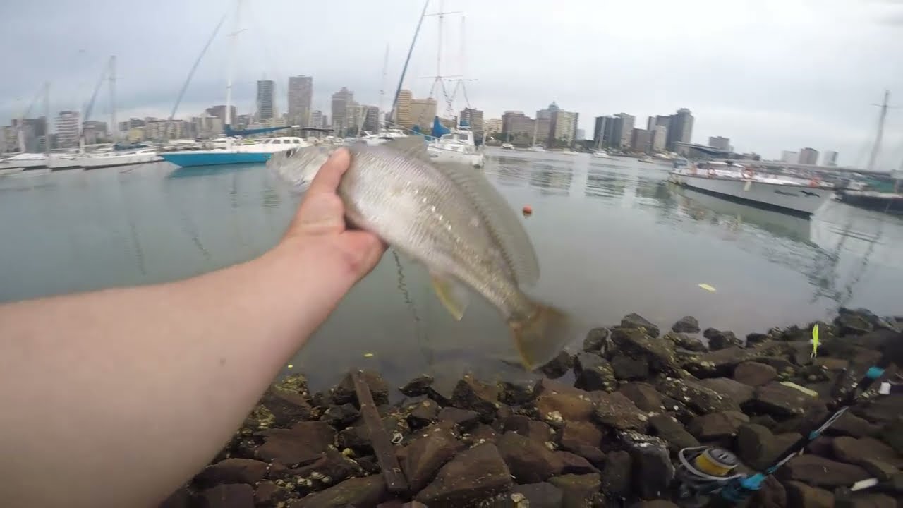 Yacht Mole & Bat Center (Durban Harbour) fishing with soft lures.