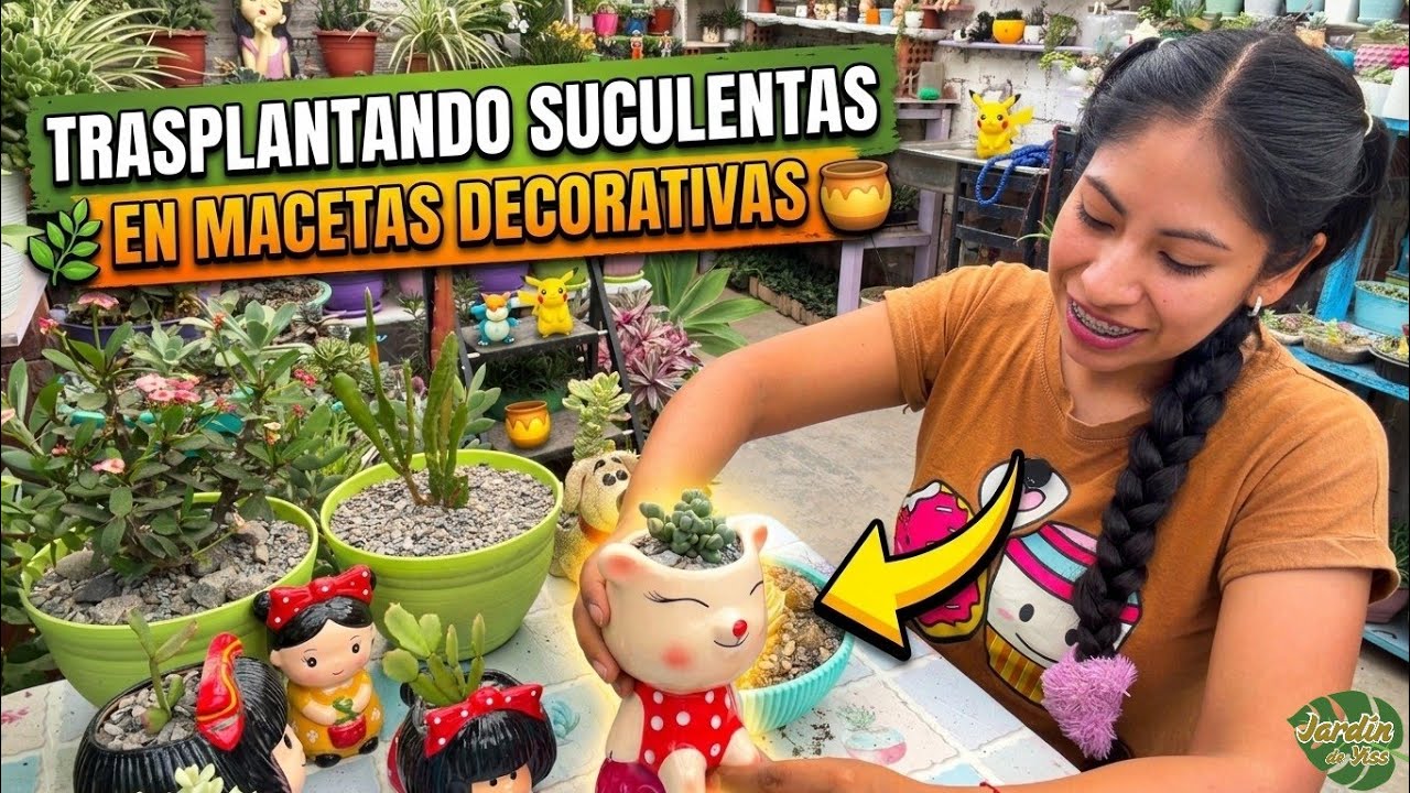 😨Resultado FINAL del trasplante | Parte 2 👉 Mira cómo quedaron mis nuevas suculentas! Encontre plaga