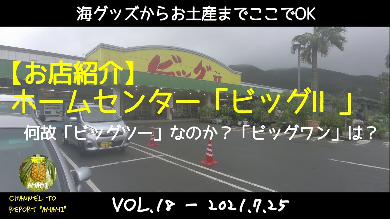 【#18 #奄美大島 お店紹介】奄美最大のホームセンター「ビッグⅡ（ビッグツー）」さんへいってみた。/ 