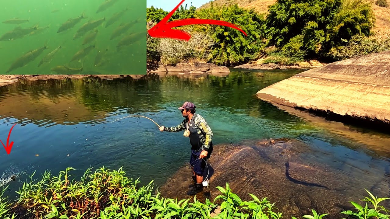 Você não vai acreditar!!! Maior cardume de PIAU já visto antes... A BURACA foi de estremecer!