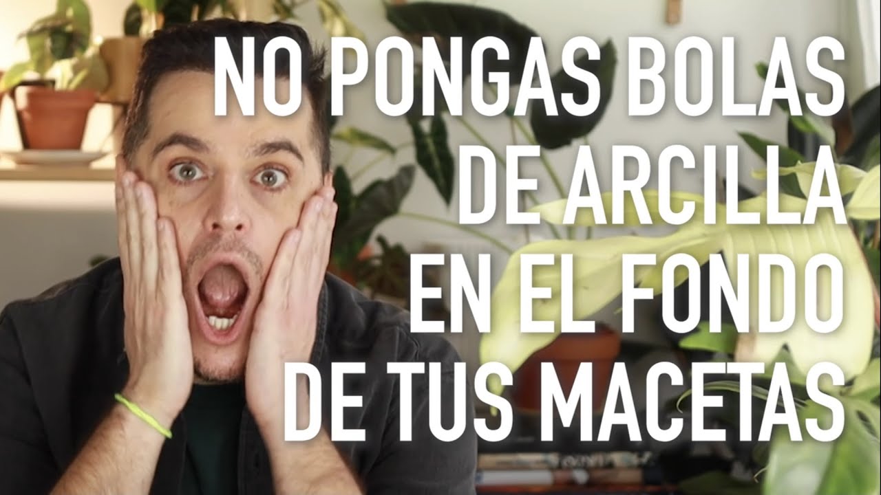 No Pongas Bolas de Arcilla Expandida o Arlita en el Fondo De Las Macetas De tus Plantas