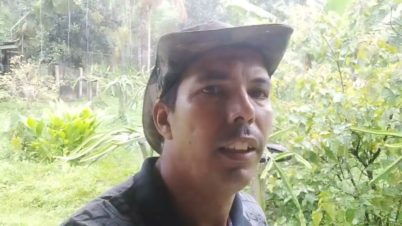 Muita chuva em Itanhaém, Estrada da chácara