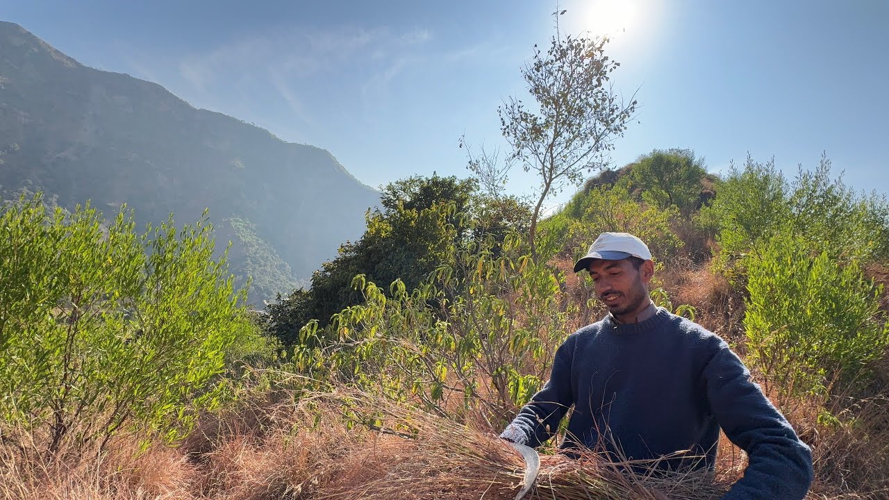 Mountain Grass//Amazing Skills! Making a Traditional Kashmiri Jharu from Mountain Grass 🏔️🧹