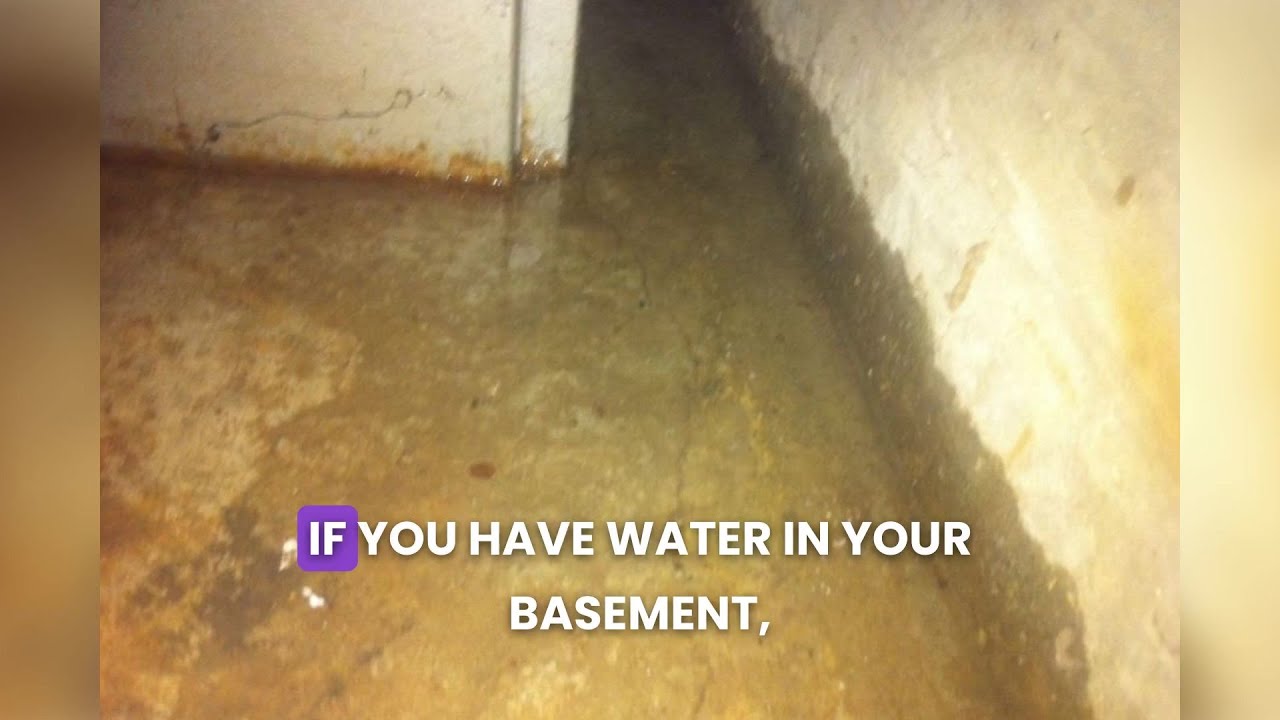 Basement Waterproofing vs. Water Damage Repair: Which Comes First?