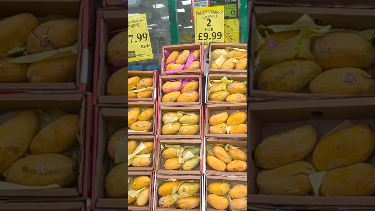 Pakistani Mango in UK #mango #shorts #pakistani #uk #youtubeshorts