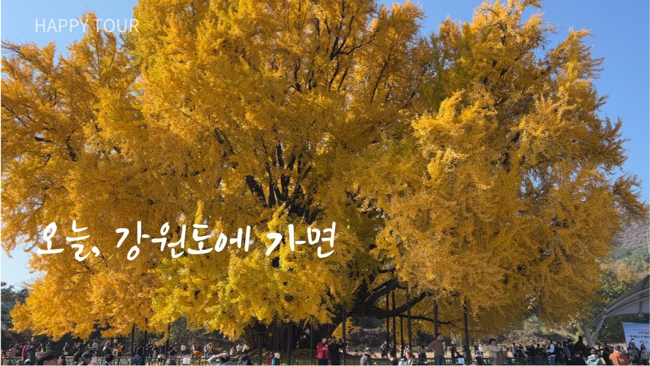 오늘, 강원도에 가면 | 전국기행