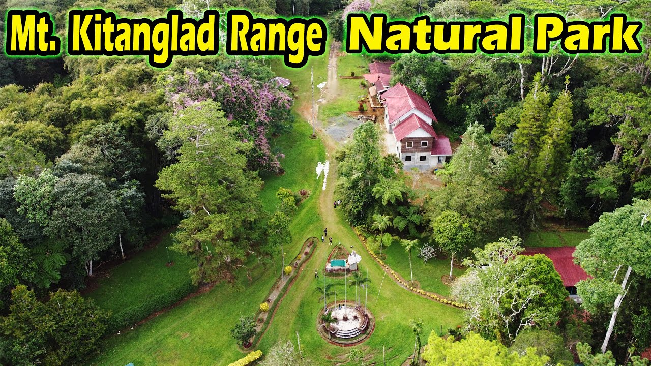 This Way to Mt. Kitanglad Range Natural Park and Chinchona Forest Reserve | TravelLar