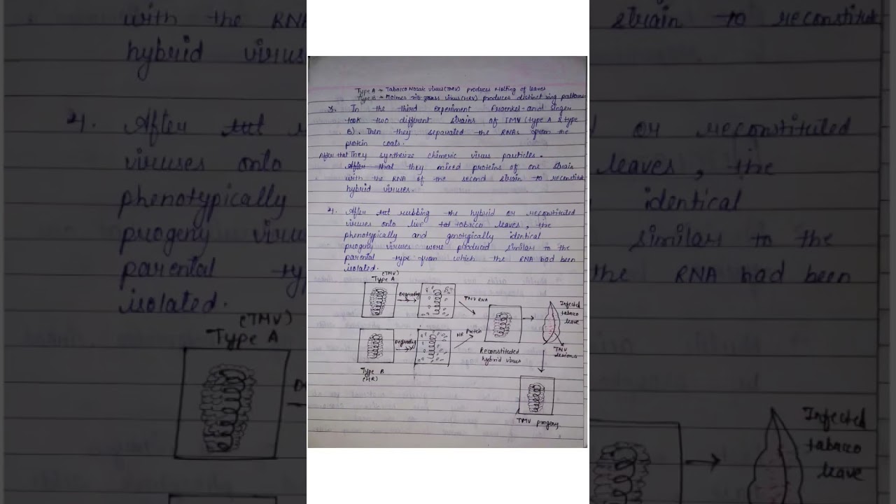 FRANKEL & SINGER EXPERIMENT 🧪 