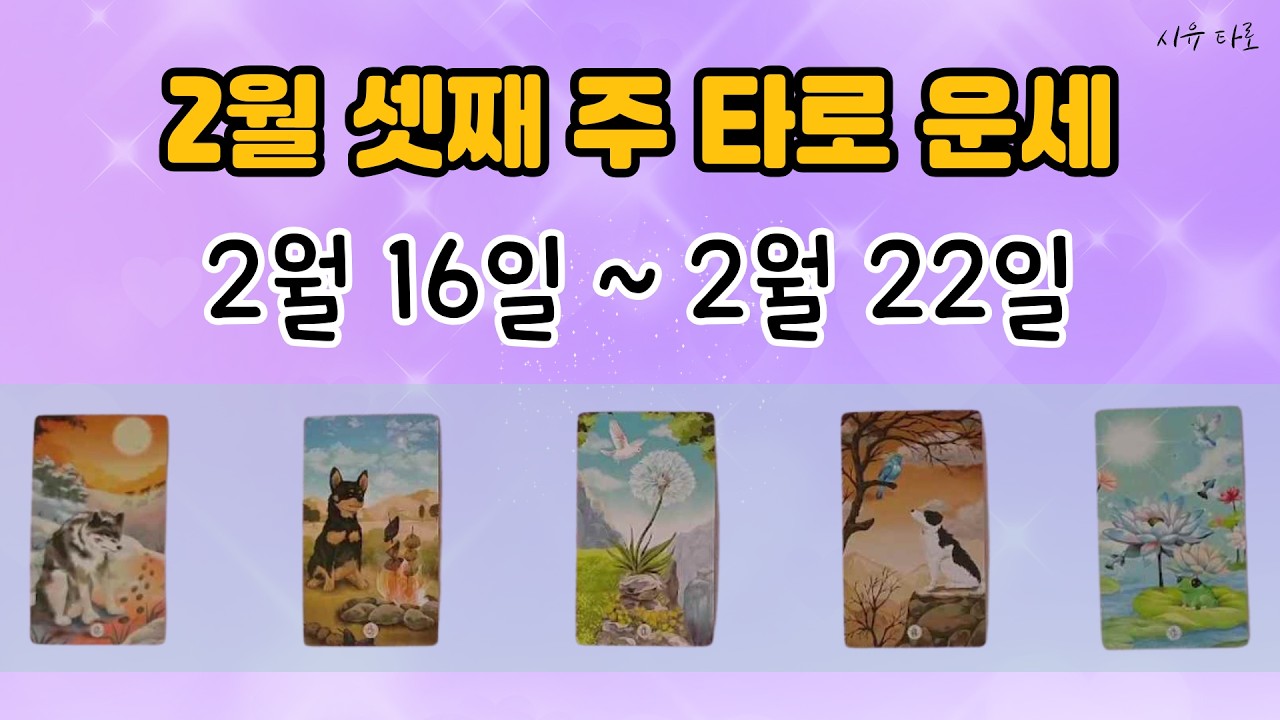 [타로주간운세]🌈2월 셋째 주_2월 16일~2월 22일