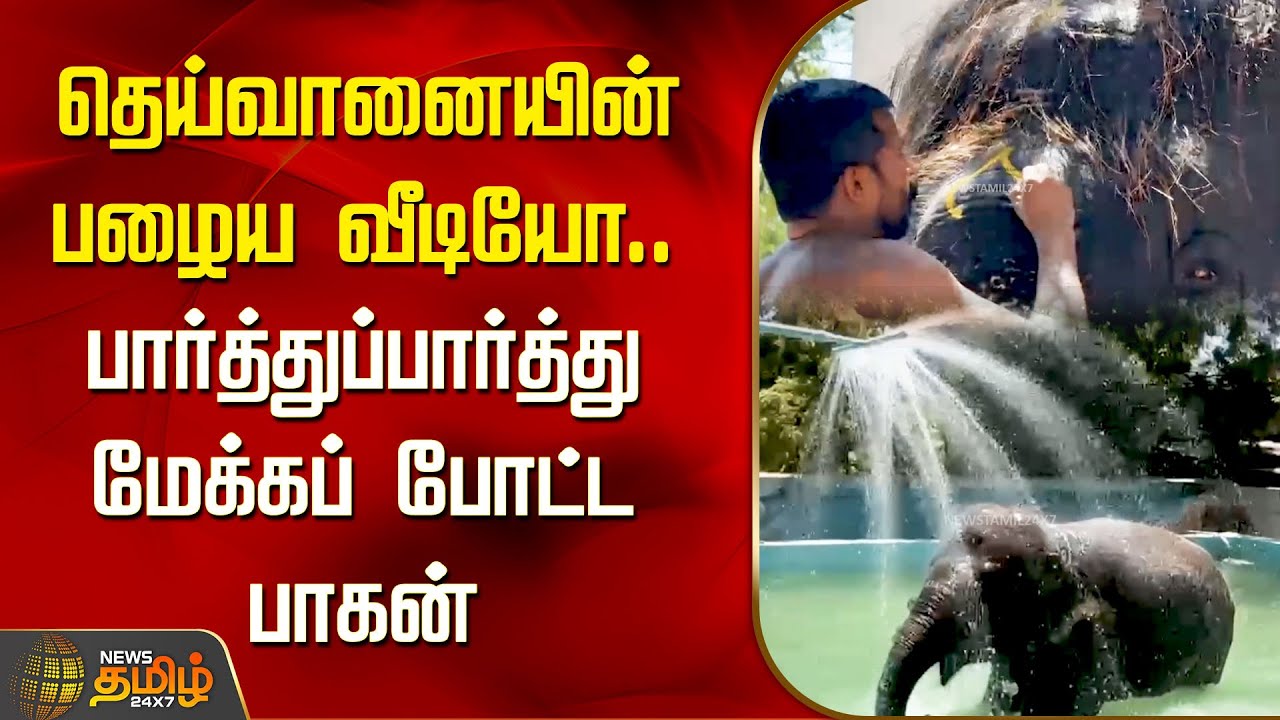தெய்வானையின் பழைய வீடியோ.. பார்த்துப்பார்த்து மேக்கப் போட்ட பாகன் | Thiruchendur | Elepahnt