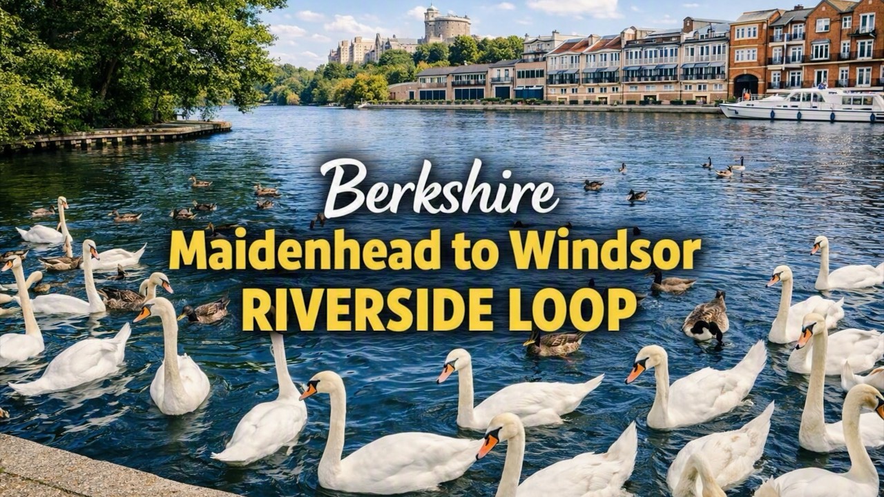 Walk 55 | Maidenhead to Windsor Riverside Loop #walkingtour #waterwalk #berkshire