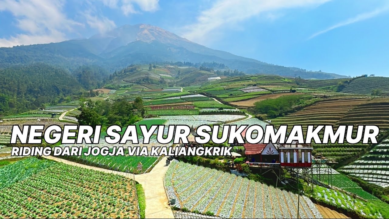 PERJALANAN KE NEGERI SAYUR SUKOMAKMUR DARI JOGJA