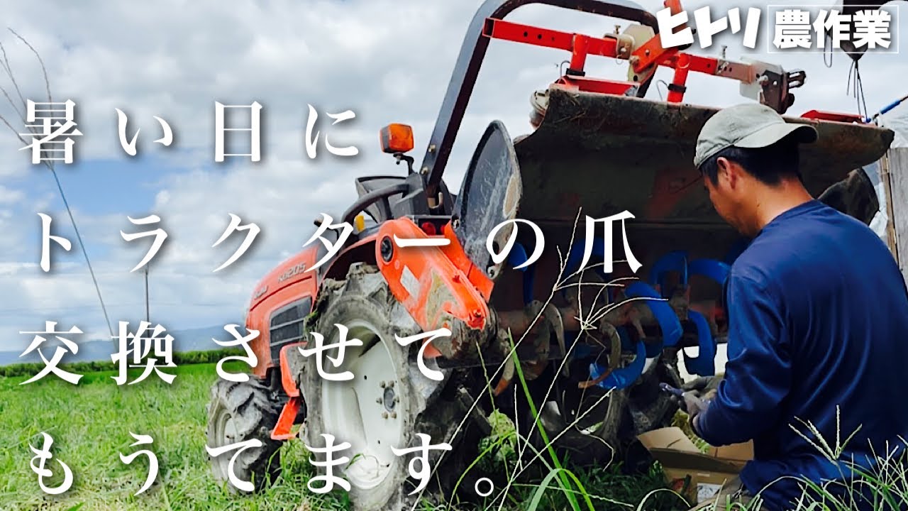 【ヒトリ農作業】トラクターの爪交換させてもうてます【新規就農11年目】