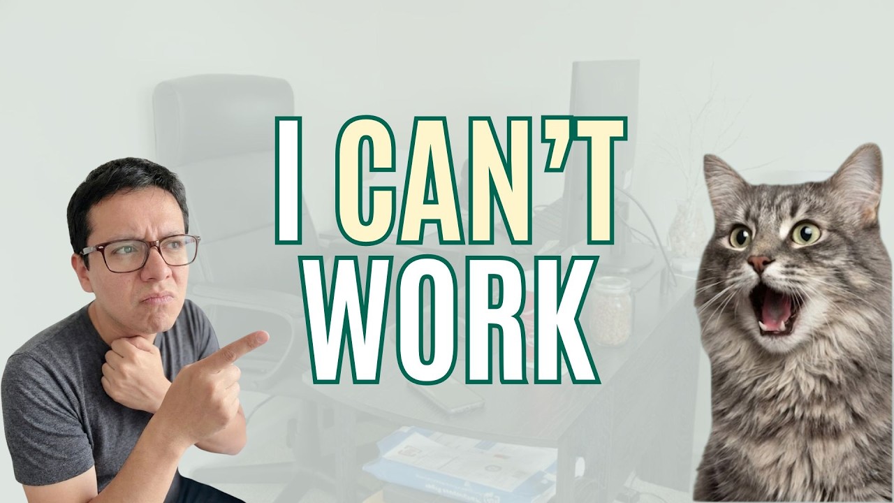 Working From Home With Cats: How I Stay Productive