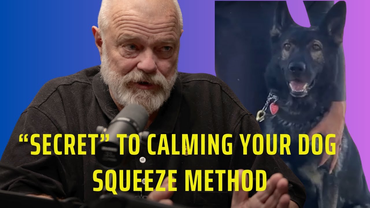 The Secret to Calming Your Dog Instantly: The Squeeze Method Explained
