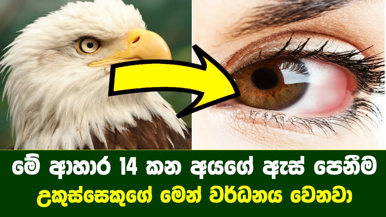 උකුස්සෙකුගේ මෙන් ඇස් පෙනීම වර්ධනය කරන ආහාර 14ක්   - 14 Best Foods For Eye Health