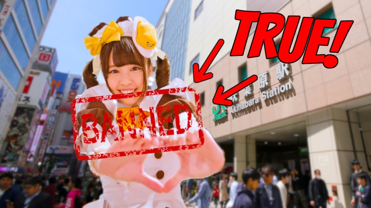 What You DIDN'T Know About Akihabara (or Maid Cafes)