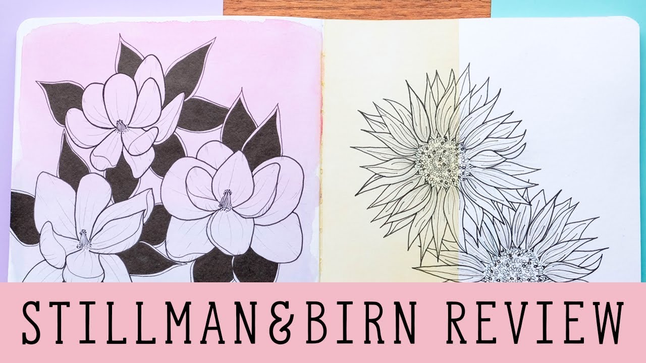 Обзор альбома Stillman And Birn Sketchbook — серия Beta