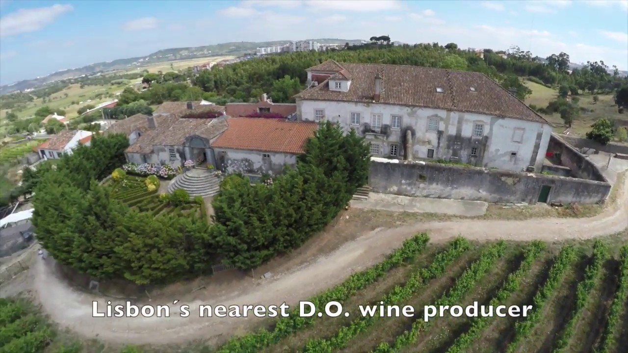 Quintas da Carrafouchas, Lisboa, Portugal. Drone  AND vineyards