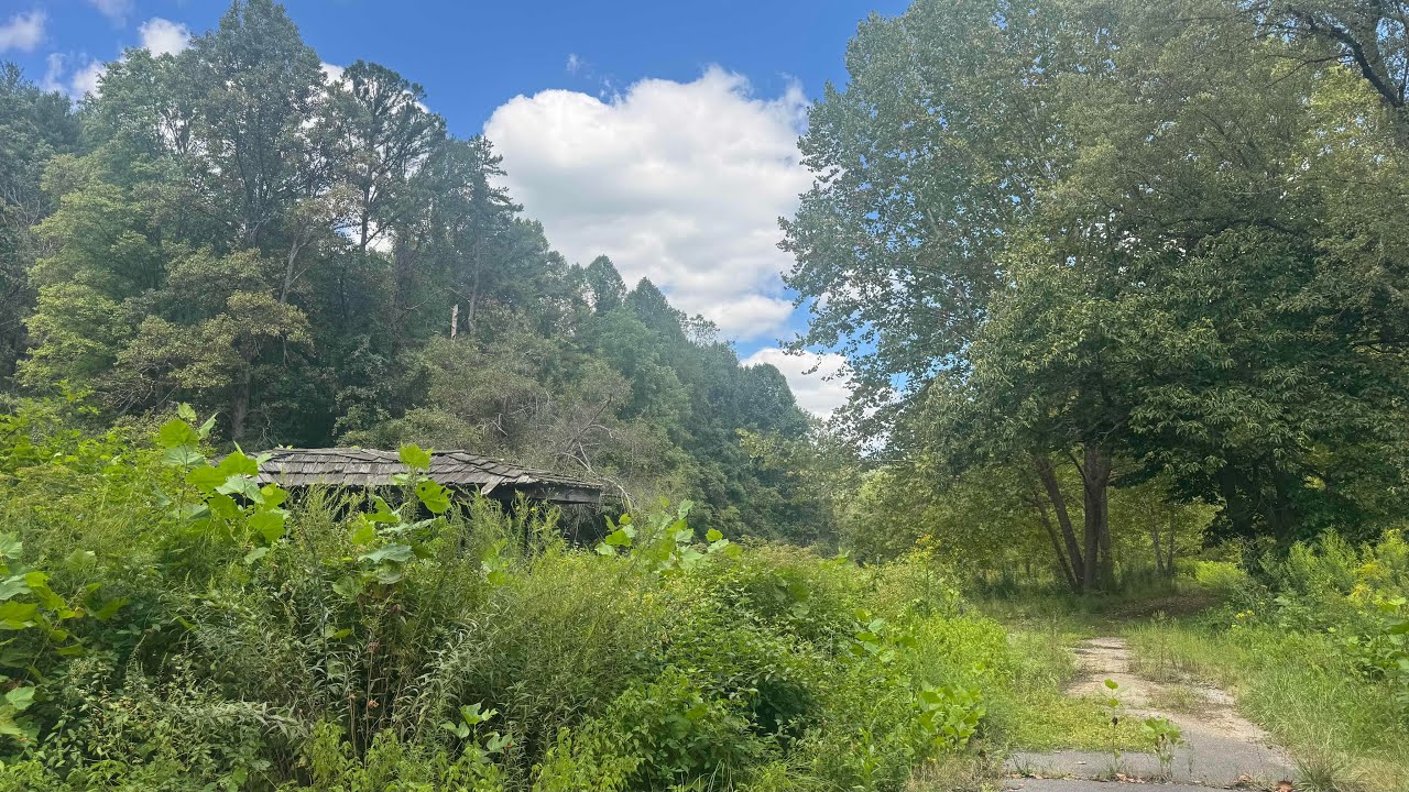 ASMR AT AN ABANDONED CAMPGROUND