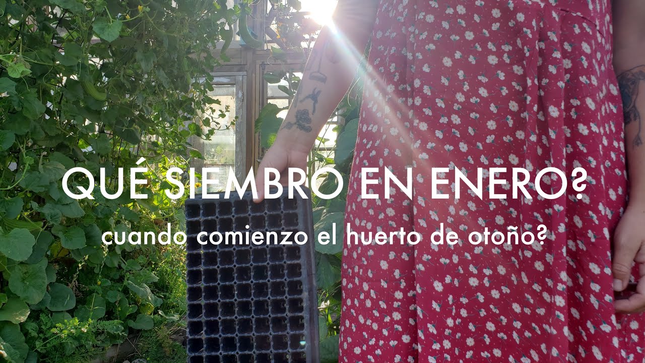 Qué siembro en Enero - Huerto de Otoño. #SoberaniaAlimentaria #hemisferiosur