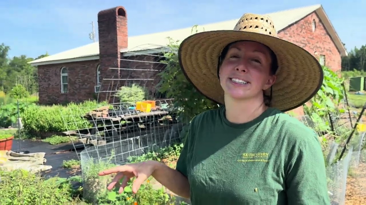 We Climbed Through A Jungle For This Harvest!