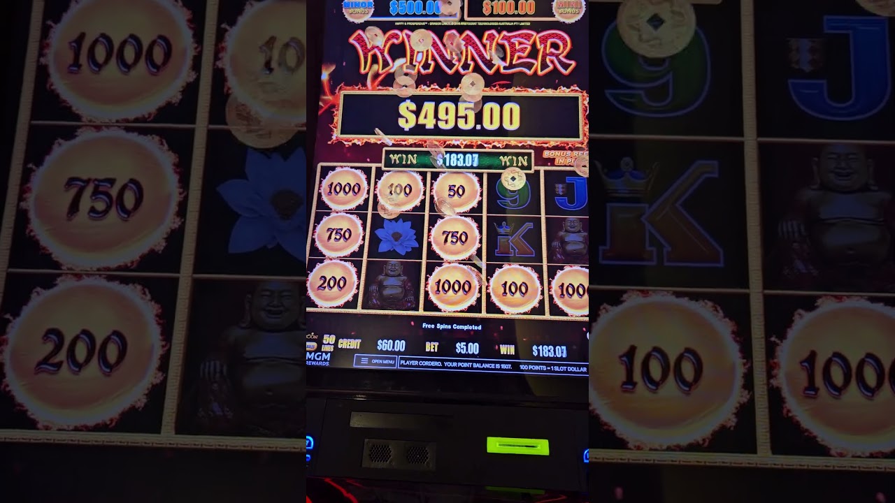 I'll take it 🎰 #dragonlink #slots #casino