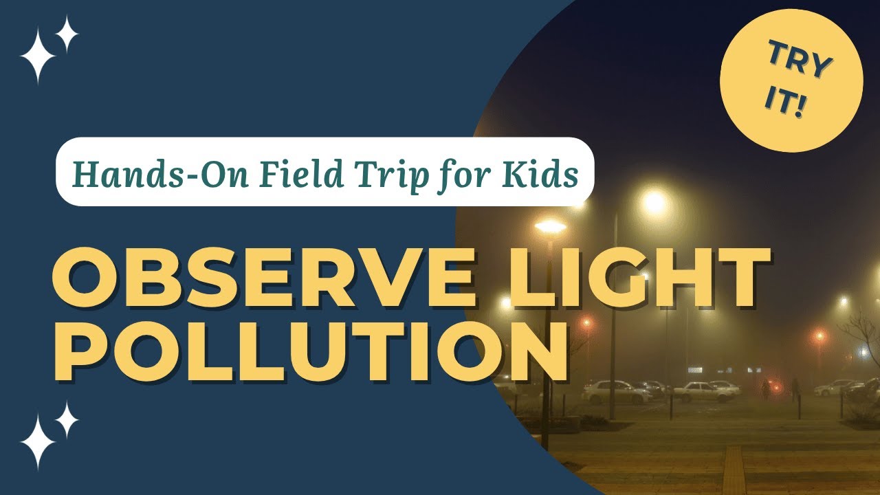 Light Pollution Field Trip: Observing Constellations & Night Sky