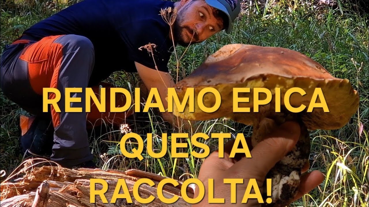 PORCINO WESTERN! PRIMA SPONDA.. 6:25