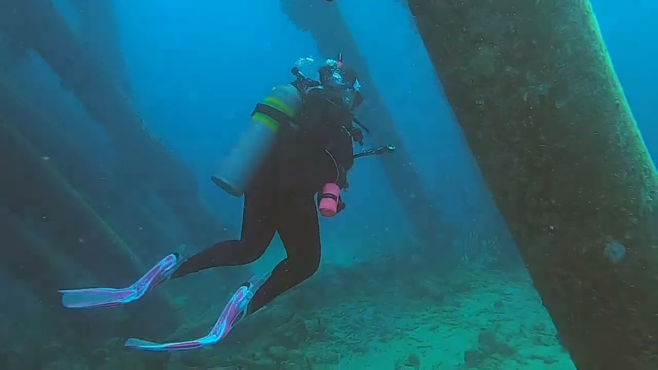 Bonaire Salt Pier Dive with eagle ray sighting