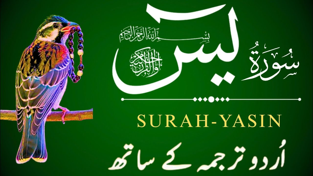 Surah Yaseen with Urdu Translation – Episode 168 | Complete Tilawat with Meaning