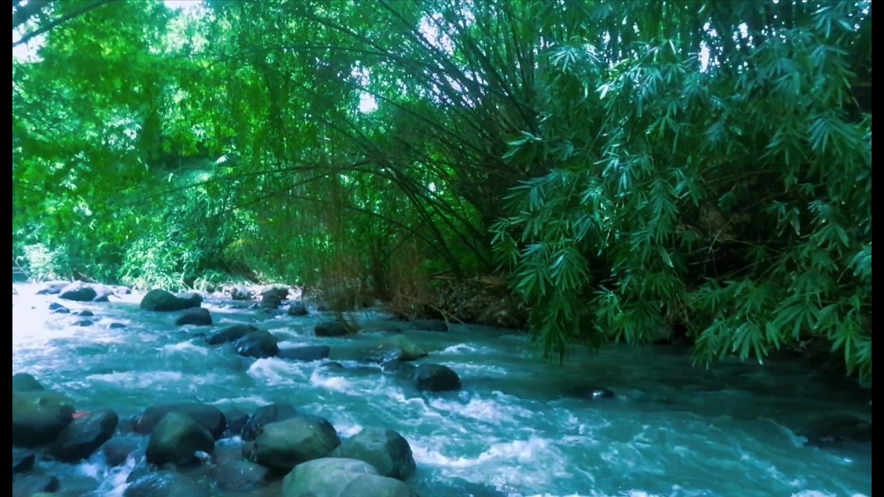 Relaxing River Sound emotional therapy to relieve stress and mental disorders for sleeping.