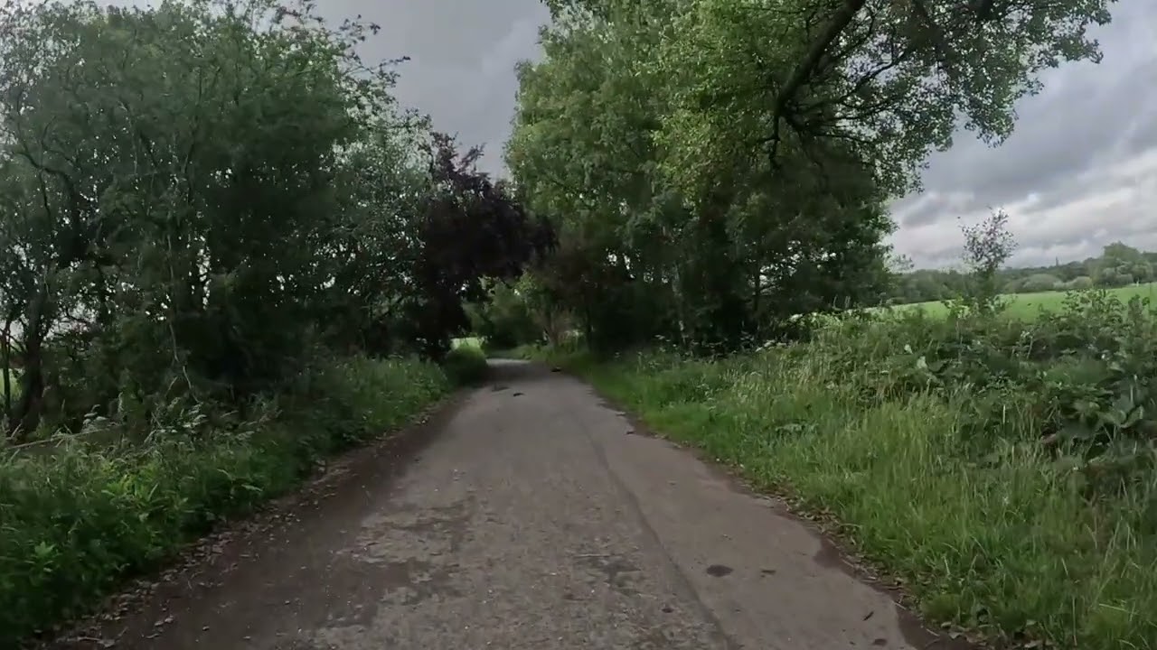Losi promoto sm first run part 2