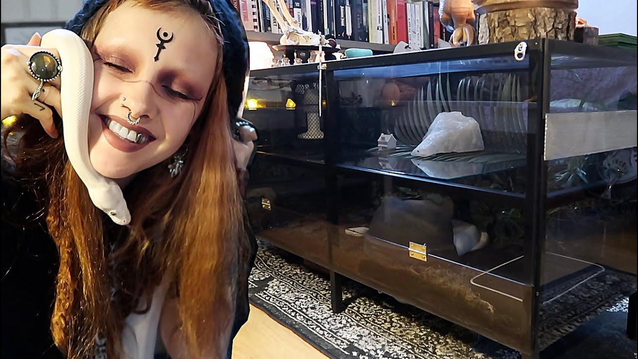 I built a snake tank table