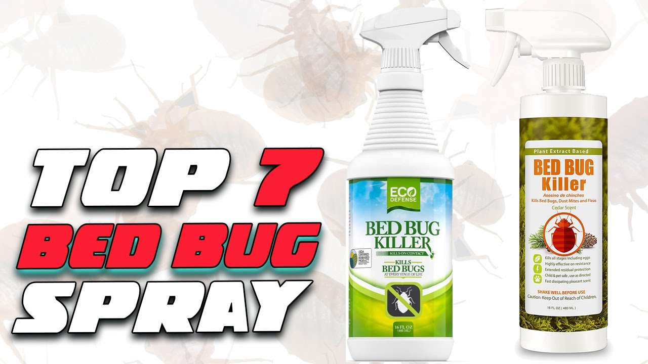 Top 7 Best Bed Bug Spray [Detailed Reviews & Best Spray Listing]