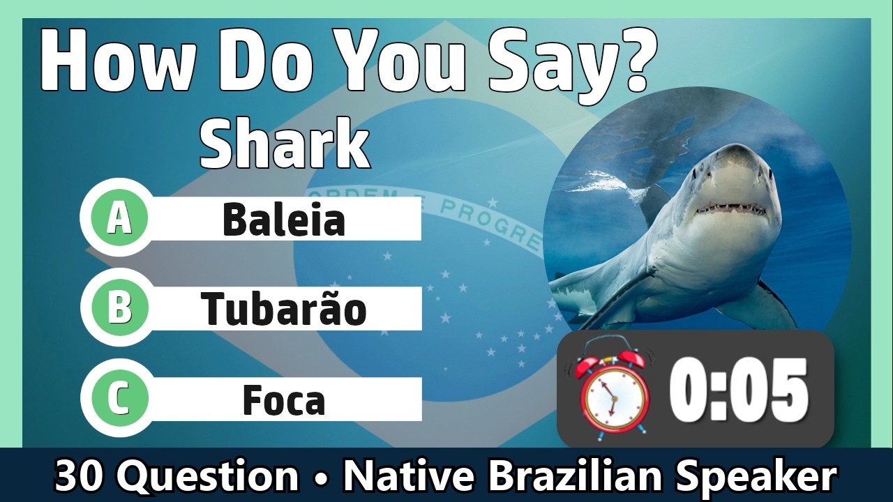 Brazilian Portuguese for Beginners | Vocabulary Quiz 5 🇧🇷