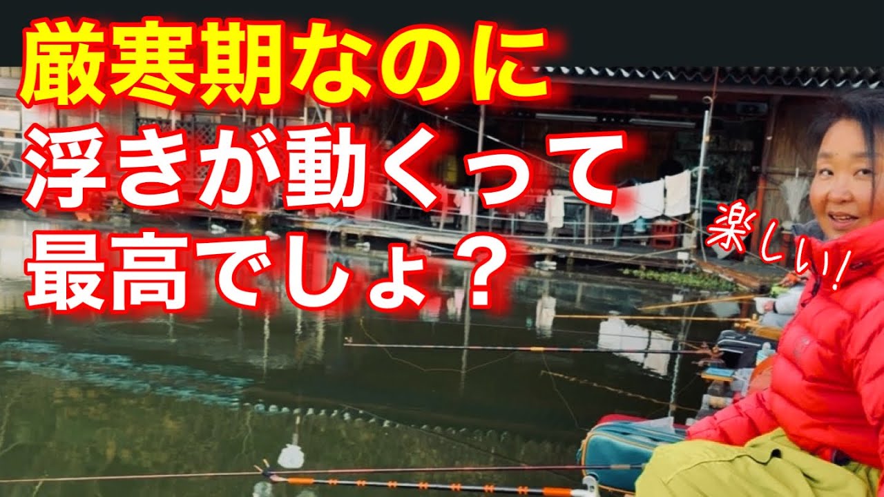 【厚木HC】いいアタリ！年末に浮きが動いて幸せになりたい時はココ。何と言ってもへらが元気。