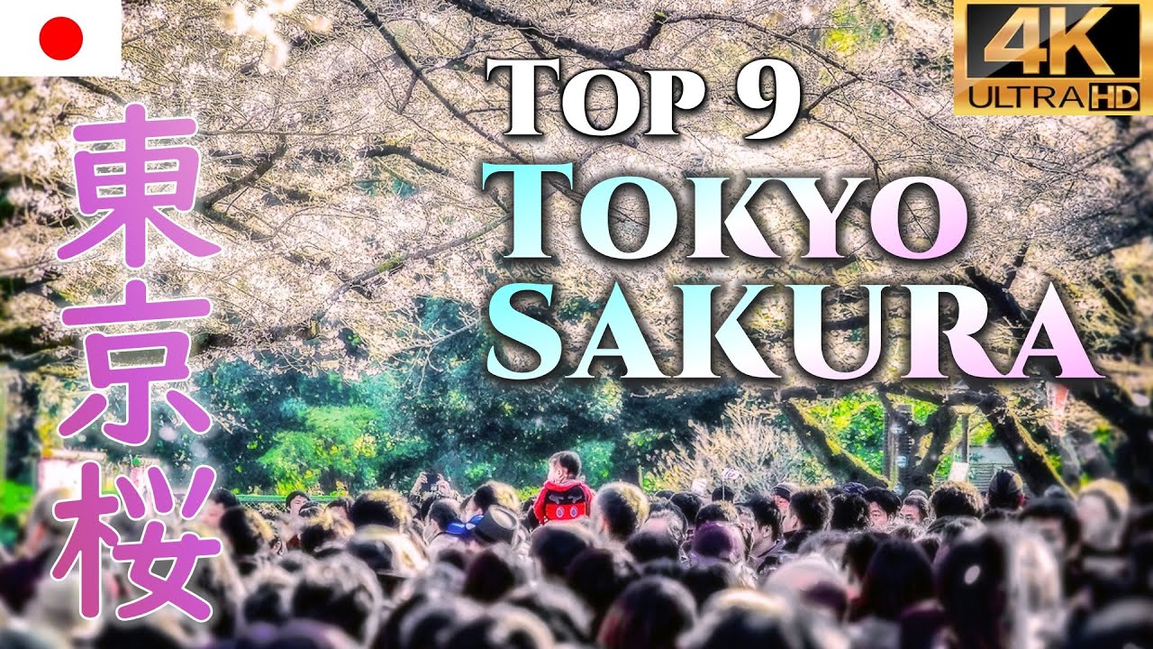 【4K】東京桜花見撮影9選 2025🌸Top 9 Tokyo Cherry Blossoms SAKURA｜六本木 上野 日比谷 千鳥ヶ淵 六義園 Japan｜relax music【一眼カメラ】