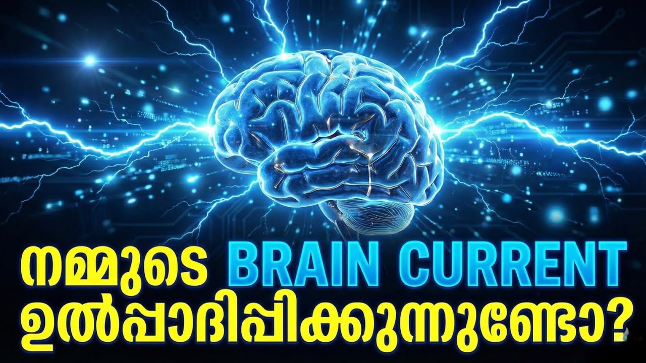 ഒരു ബൾബ് കത്തിക്കാനുള്ള കറന്റ് നമ്മുടെ തലയിലുണ്ടോ?| Power of Human Brain | Malayalam Science Facts