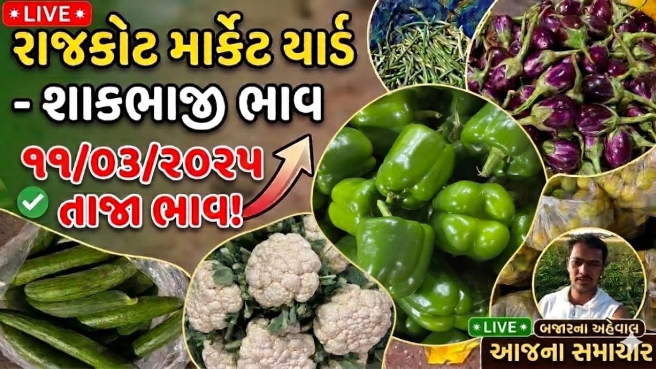 Rajkot market yard 11/03/2026 green vegetables price market 