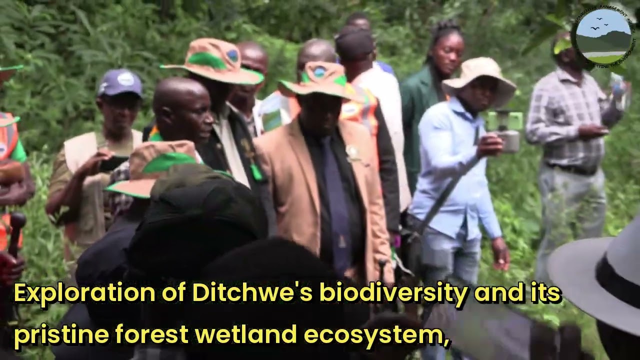 WWD HIGHLIGHTS @Ditchwe Forest Wetland, Makonde district, Mashonaland West Province