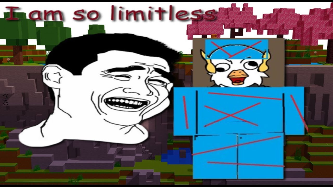 The start of the Limitless SMP