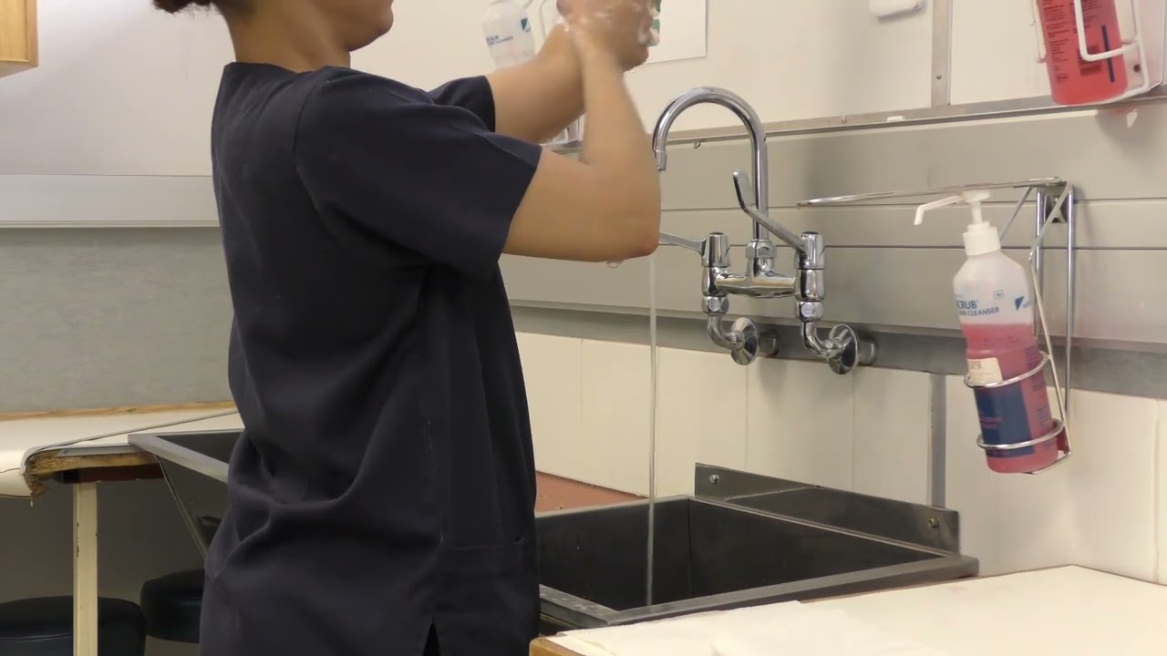 Aseptic Handwashing