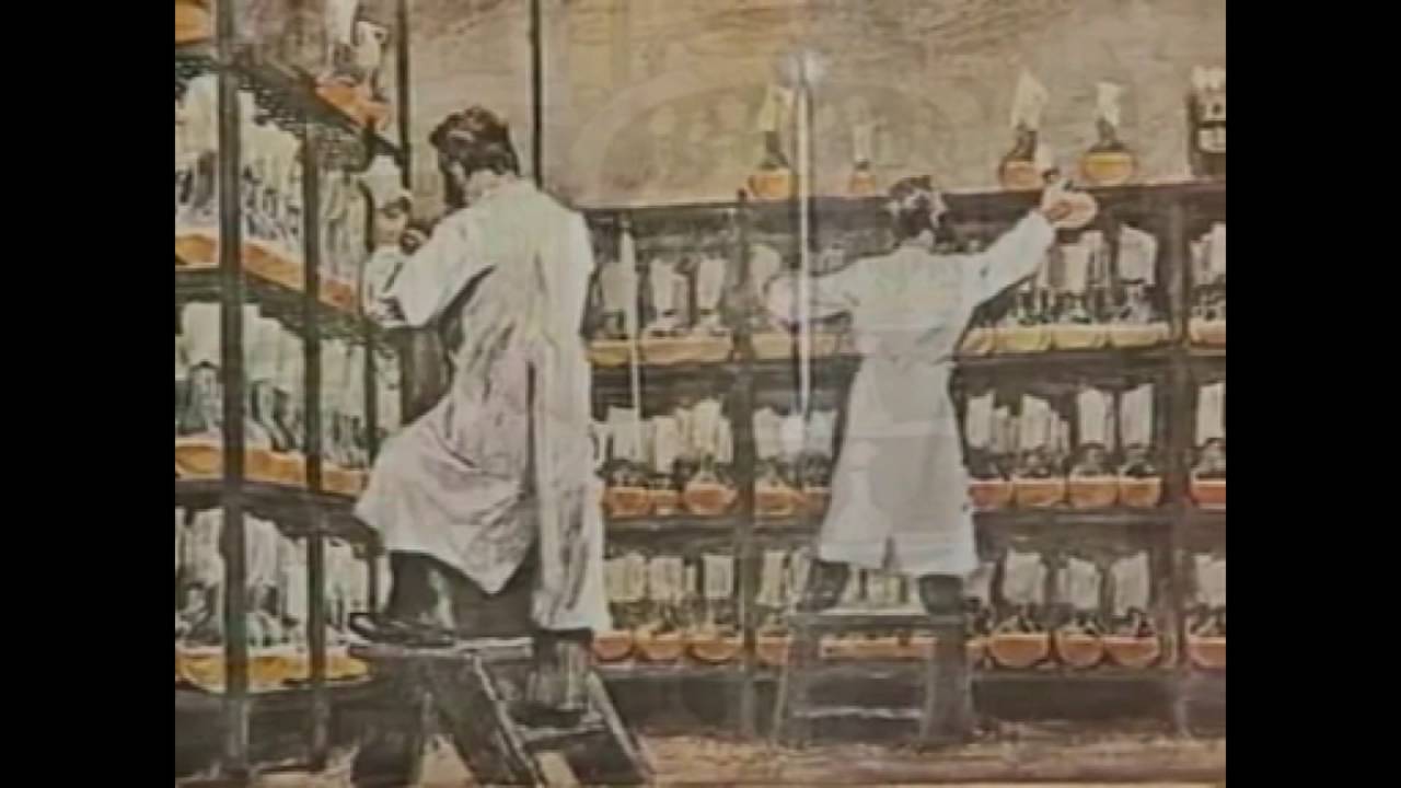 MLÉKO - výroba, složení