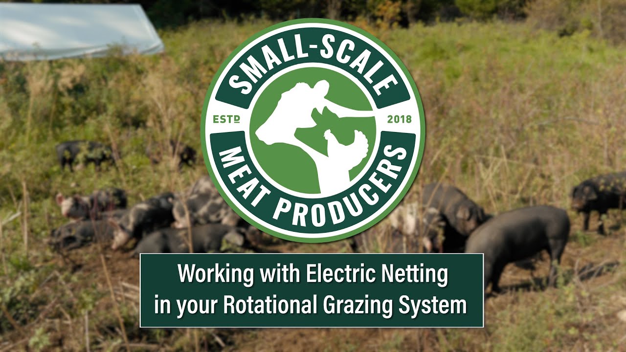 Working with Electric Netting in your Rotational Grazing System